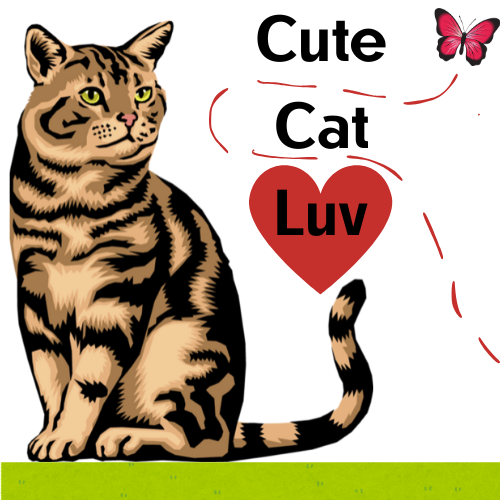 Cute Cat Luv